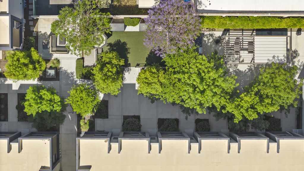 A row of trees in front of a building.